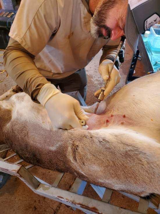 Farmers Fallows AI&nbsp;Day